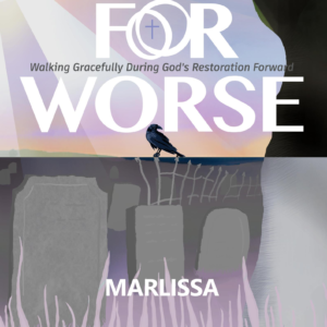 For Worse - Hardcover